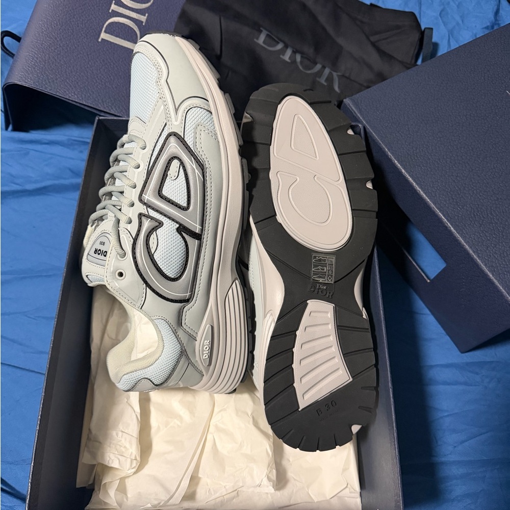 Dior B30 Grey Sneakers.